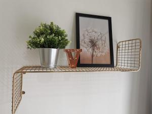 Fotografie z fotogalerie ubytování Traders Garden v destinaci Cheras