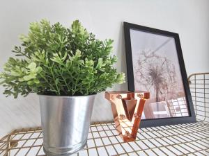 Fotografie z fotogalerie ubytování Traders Garden v destinaci Cheras