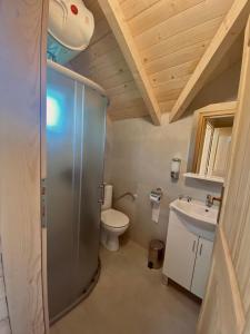 a bathroom with a toilet and a sink at Wooden Corner in Kolašin