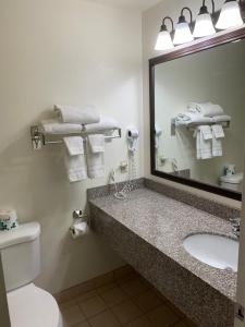 ein Badezimmer mit einem Waschbecken, einem Spiegel und einem WC in der Unterkunft Oquirrh Mountain Inn in Tooele