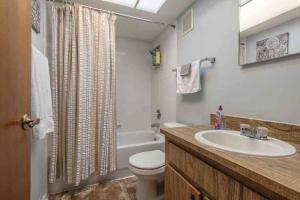 布蘭登的住宿－Alberts Abode Prime Brandon location Walkable，浴室配有盥洗盆、卫生间和浴缸。