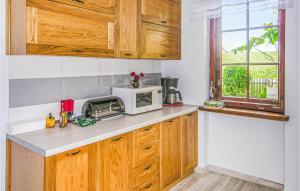 uma cozinha com armários de madeira e um micro-ondas em Pet Friendly Home In Lidzbark Warminski With Kitchen em Redy