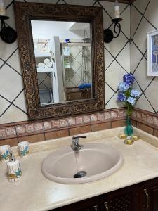 a bathroom sink with a mirror and a vase of flowers at Marine Studio on the Beach in Icod de los Vinos +22 photos