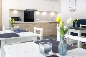 Dapur atau dapur kecil di Zacisze Sosnowe