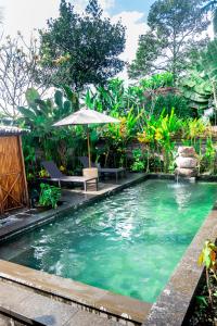 a pool in a garden with an umbrella and chairs at Sandora Homestay with Private Pool by Supala in Ubud