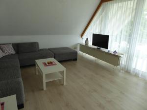 a living room with a couch and a tv at Ferienwohnung Gartenblick in Eystrup