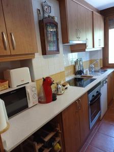 a kitchen with a counter with a microwave and a sink at Apartamento en Pirineos in Bielsa