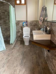 a bathroom with a toilet and a sink and a shower at გურული ეზო*Gurian yard in Chala