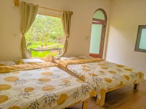 twee bedden in een kamer met een raam bij Plum Hill - Moc Chau in Mộc Châu