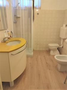 een badkamer met een wastafel, een toilet en een douche bij Villa Zene in Montù Beccaria
