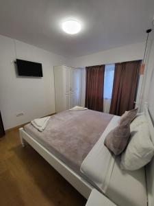 1 dormitorio con 1 cama grande y TV en la pared en Fabian Apart, en Tulcea