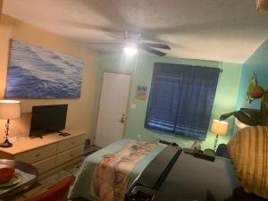 um quarto com uma cama e uma ventoinha de tecto em Michaels Siesta Studios em Redington Shores
