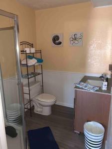 een badkamer met een toilet en een wastafel bij River getaway Downstairs unit in Bullhead City