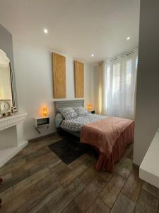 ein Schlafzimmer mit einem Bett und einem Kamin in der Unterkunft La Seyne sur mer grande terrasse wifi clim, 2 chambres in La Seyne-sur-Mer