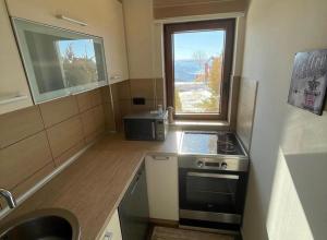 a small kitchen with a stove and a window at Milmari Resort Lux H-1 in Kopaonik