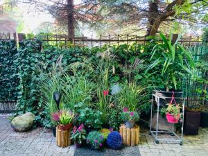 a garden with plants and potted plants at Uroczy Apartament z Patio in Szczecin