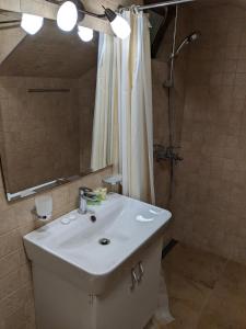 La salle de bains est pourvue d'un lavabo blanc et d'une douche. dans l'établissement Forest, à Dilidjan