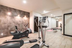 Fitness centrum a/nebo fitness zařízení v ubytování Elementus Tulum