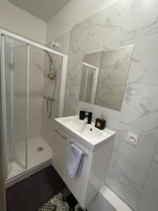 een witte badkamer met een wastafel en een douche bij Le Petit Duc in Dijon