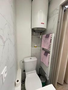 een witte badkamer met een toilet en handdoeken bij Le Petit Duc in Dijon