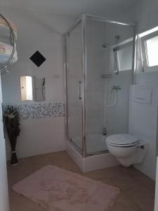 een badkamer met een douche en een toilet bij Motorom in Zărneşti