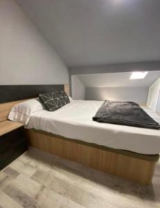 1 dormitorio con 1 cama grande en una habitación en Acojedor Apartamento en Bermeo en Bermeo