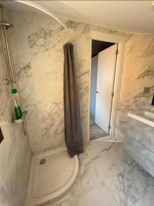 een badkamer met een douche, een toilet en een wastafel bij Acojedor Apartamento en Bermeo in Bermeo