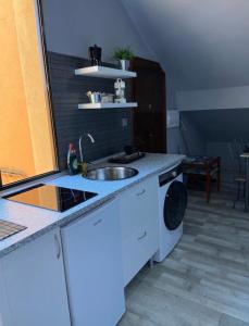een keuken met een wastafel en een wasmachine bij Acojedor Apartamento en Bermeo in Bermeo