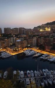 a group of boats docked in a marina at night at SARA RIVIERA Costa Plana in Cap d'Ail