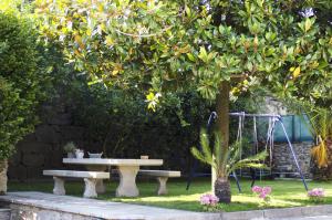 A garden outside Luxury Singular Villa Rosa