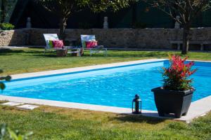 The swimming pool at or close to Luxury Singular Villa Rosa