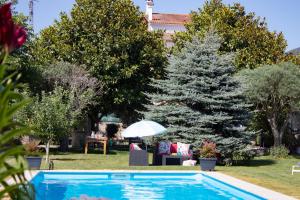 a swimming pool in a yard with a christmas tree at Luxury Singular Villa Rosa in Padrón