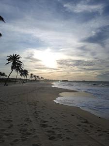 una spiaggia sabbiosa con palme e l'oceano di Apartamento na Praia de Iracema, Meireles. a Fortaleza
