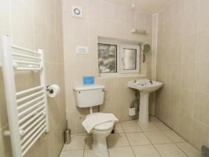 a bathroom with a toilet and a sink at Newfield Apartment 2 in Broughton in Furness