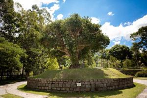 Um jardim em Pousada Maritacas do Sana