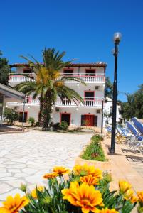Zahrada ubytování Hotel Olga