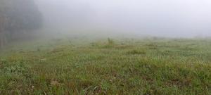 Paesaggio naturale nelle vicinanze del bed & breakfast