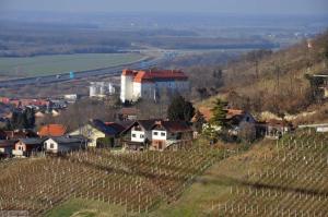 a small village on a hill with a vineyard at Cosy country home, Lendava in Lendava