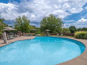 a large blue pool with chairs and umbrellas at Holiday Inn Greensboro Coliseum, an IHG Hotel in Greensboro