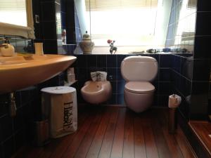 La salle de bains est pourvue de toilettes et d'un lavabo. dans l'établissement Idéal Famille - HAVRE DE PAIX - Vue Pyrénées, à Laroin