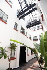 een hal van een gebouw met ramen en planten bij LA CONDESA: BEAUTIFUL DESIGNED STUDIO in Mexico-Stad