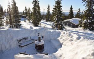 a snow covered yard with a bench and trees at Awesome Home In Sjusjøen With Wifi in Sjusjøen