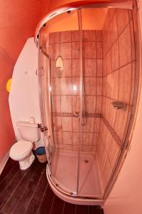 a bathroom with a shower and a toilet at Vista Pedra Glamping in Potrerillos