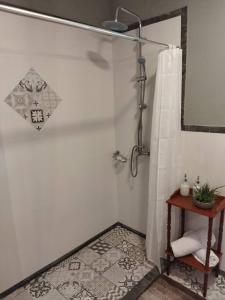 a bathroom with a shower with a shower curtain at Apartamento Dos hermanas in Colonia Estrella