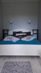 1 Schlafzimmer mit einem Bett mit blauer Bettwäsche und 2 Kissen in der Unterkunft Randla 14 Tallinn in Tallinn