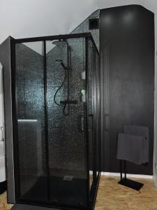 a shower with a glass enclosure in a bathroom at Villa de fays in Theux