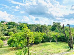 Un paisaje natural cerca de la casa vacacional