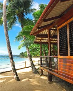 a building on a beach with palm trees at Casa Cayuco Eco-Adventure Lodge in Bocas del Toro