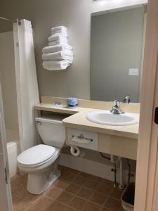 a bathroom with a toilet and a sink and a mirror at Country Squire Inn and Suites in New Holland
