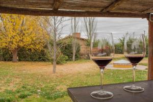 two glasses of red wine sitting on a table at Casa Bodega Antucura in Vista Flores